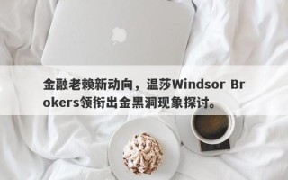 金融老赖新动向，温莎Windsor Brokers领衔出金黑洞现象探讨。