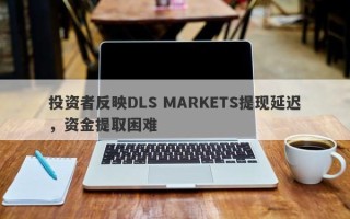 投资者反映DLS MARKETS提现延迟，资金提取困难