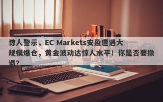 惊人警示，EC Markets安盈遭遇大规模爆仓，黄金波动达惊人水平！你是否要撤退？