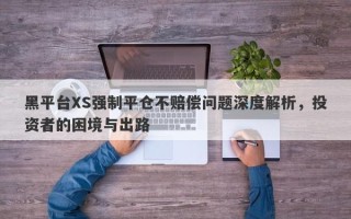 黑平台XS强制平仓不赔偿问题深度解析，投资者的困境与出路