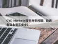 GVD Markets牌照共享问题：投资者资金是否安全？