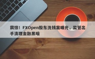 震惊！FXOpen股东洗钱案曝光，监管出手清理金融黑暗