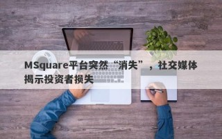 MSquare平台突然“消失”，社交媒体揭示投资者损失