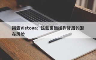 揭露Vistova：这些离谱操作背后的潜在风险