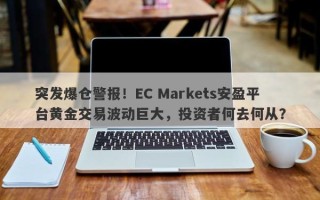 突发爆仓警报！EC Markets安盈平台黄金交易波动巨大，投资者何去何从？