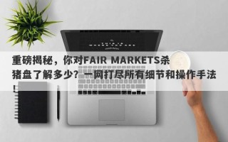 重磅揭秘，你对FAIR MARKETS杀猪盘了解多少？一网打尽所有细节和操作手法！