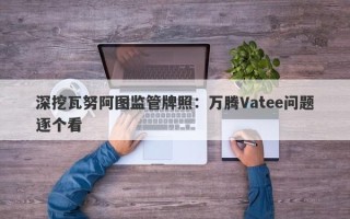 深挖瓦努阿图监管牌照：万腾Vatee问题逐个看