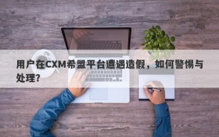 用户在CXM希盟平台遭遇造假，如何警惕与处理？