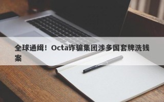 全球通缉！Octa诈骗集团涉多国套牌洗钱案