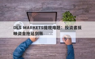 DLS MARKETS提现难题：投资者反映资金拖延到账