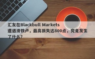 汇友在Blackbull Markets遭遇滑铁卢，最高损失达800点，究竟发生了什么？