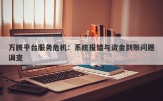 万腾平台服务危机：系统报错与资金到账问题调查