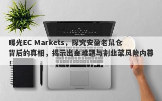 曝光EC Markets，探究安盈老鼠仓背后的真相，揭示出金难题与割韭菜风险内幕！