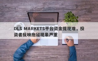 DLS MARKETS平台资金提现难，投资者反映拖延现象严重