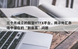 三个月成立的假冒HTFX平台，揭示外汇市场中潜在的“割韭菜”问题