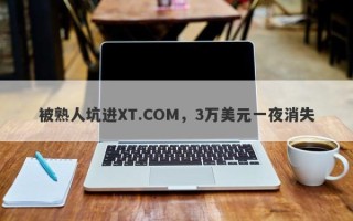 被熟人坑进XT.COM，3万美元一夜消失