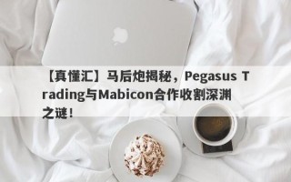 【真懂汇】马后炮揭秘，Pegasus Trading与Mabicon合作收割深渊之谜！