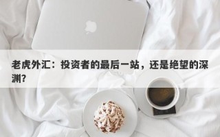 老虎外汇：投资者的最后一站，还是绝望的深渊？