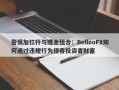 警惕加杠杆与赠金组合：BelleoFX如何通过违规行为侵吞投资者财富