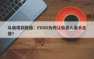 从崩塌到跑路：FXDD为何让投资人束手无策？