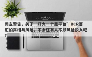 网友警告，关于“好大一个黑平台”BCR百汇的真相与风险。不会还有人不顾风险投入吧？