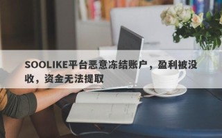 SOOLIKE平台恶意冻结账户，盈利被没收，资金无法提取