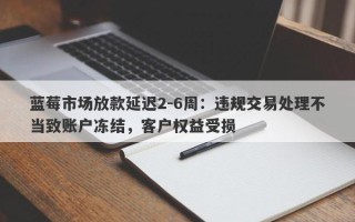 蓝莓市场放款延迟2-6周：违规交易处理不当致账户冻结，客户权益受损