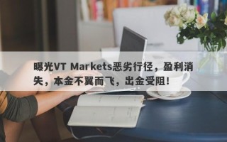 曝光VT Markets恶劣行径，盈利消失，本金不翼而飞，出金受阻！