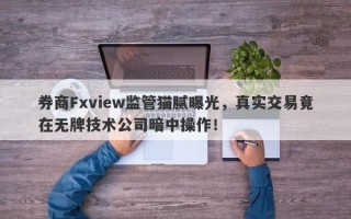 券商Fxview监管猫腻曝光，真实交易竟在无牌技术公司暗中操作！