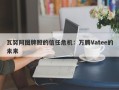 瓦努阿图牌照的信任危机：万腾Vatee的未来