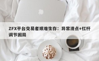 ZFX平台交易者艰难生存：异常滑点+杠杆调节困局