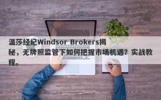 温莎经纪Windsor Brokers揭秘，无牌照监管下如何把握市场机遇？实战教程。