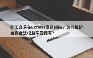 外汇交易在Exness遭遇损失，怎样维护自身合法权益不受侵害？