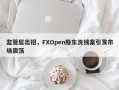 监管层出招，FXOpen股东洗钱案引发市场震荡