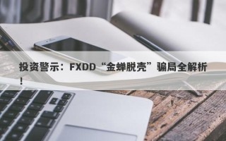 投资警示：FXDD“金蝉脱壳”骗局全解析！