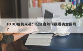 FXDD危机来袭：投资者如何摆脱资金困局？