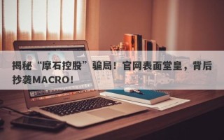 揭秘“摩石控股”骗局！官网表面堂皇，背后抄袭MACRO！