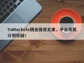 YaMarkets佣金提现无果，平台发展计划存疑！