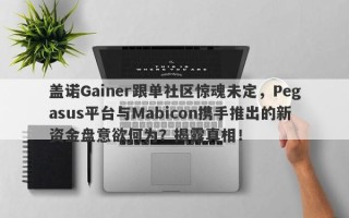 盖诺Gainer跟单社区惊魂未定，Pegasus平台与Mabicon携手推出的新资金盘意欲何为？揭露真相！