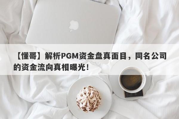 【懂哥】解析PGM资金盘真面目，同名公司的资金流向真相曝光！-第1张图片-要懂汇