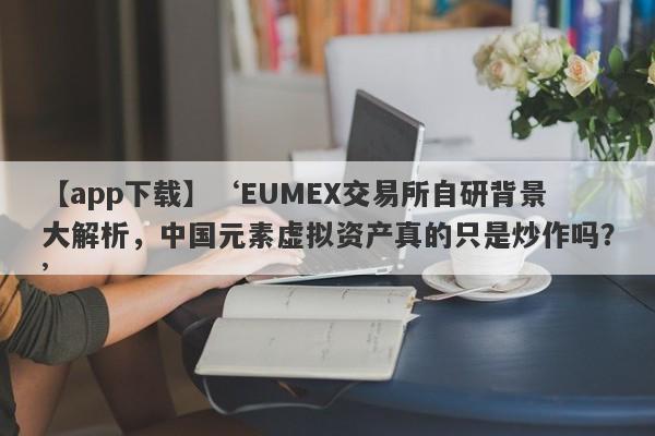 【app下载】‘EUMEX交易所自研背景大解析，中国元素虚拟资产真的只是炒作吗？’-第1张图片-要懂汇