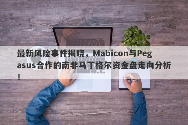 最新风险事件揭晓，Mabicon与Pegasus合作的南非马丁格尔资金盘走向分析！-第1张图片-要懂汇