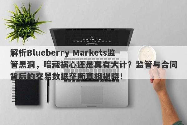 解析Blueberry Markets监管黑洞，暗藏祸心还是真有大计？监管与合同背后的交易数据垄断真相揭晓！-第1张图片-要懂汇