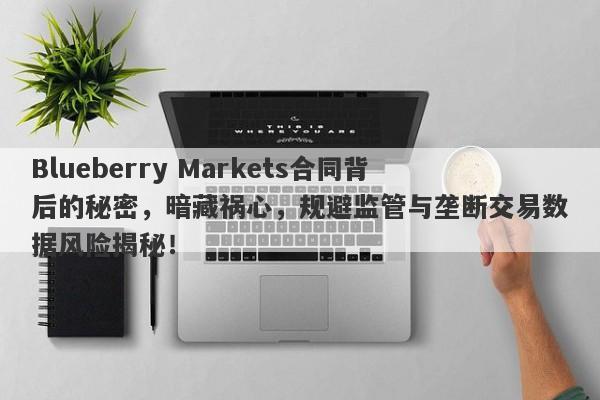 Blueberry Markets合同背后的秘密，暗藏祸心，规避监管与垄断交易数据风险揭秘！-第1张图片-要懂汇