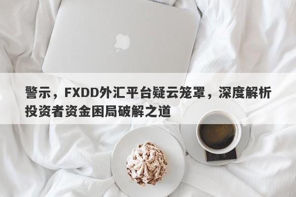 警示，FXDD外汇平台疑云笼罩，深度解析投资者资金困局破解之道-第1张图片-要懂汇