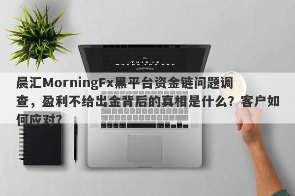 晨汇MorningFx黑平台资金链问题调查，盈利不给出金背后的真相是什么？客户如何应对？-第1张图片-要懂汇