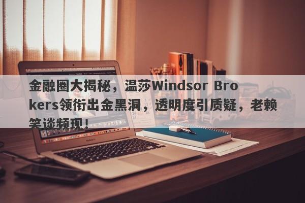 金融圈大揭秘，温莎Windsor Brokers领衔出金黑洞，透明度引质疑，老赖笑谈频现！-第1张图片-要懂汇