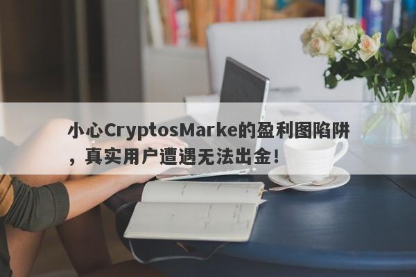 小心CryptosMarke的盈利图陷阱，真实用户遭遇无法出金！-第1张图片-要懂汇