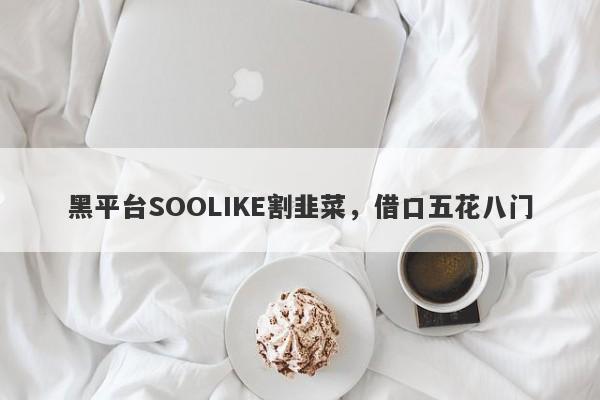 黑平台SOOLIKE割韭菜，借口五花八门-第1张图片-要懂汇