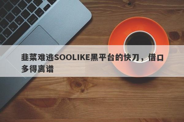 韭菜难逃SOOLIKE黑平台的快刀，借口多得离谱-第1张图片-要懂汇